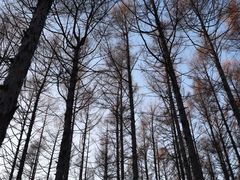 -长春净月潭风景名胜区