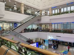 -上海市东方医院(总院)