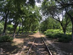 -永定河休闲森林公园