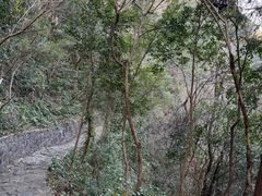 -宁波五龙潭景区