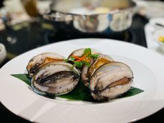 澳洲鲍鱼-協成海鮮火鍋(老店)