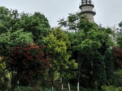 -金海湾滨江公园