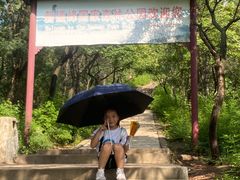 -磬锤峰森林公园