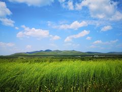 -乌兰布统草原
