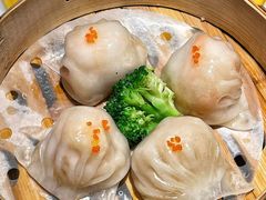 -粤凤佬