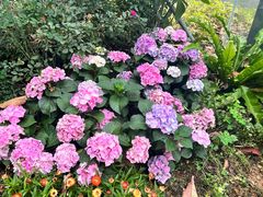 -人民公园(罗湖区)