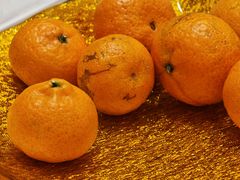 -外沙疍家棚酒楼