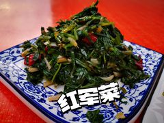 -照金特色农家乐