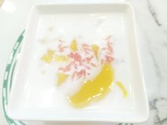 -三条A糖水公司(永旺梦乐城店)