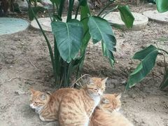 -龙达温泉生态城