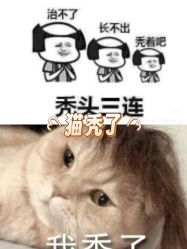 点击看大图 -Bollins波林丝•专研护发中心