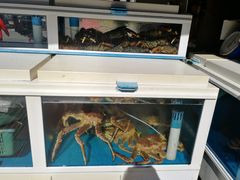 -真情鲍鱼海鲜汤