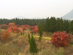 -龙洞风景区-藏龙涧