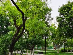 -西海子公园