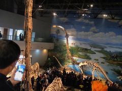 -自贡恐龙博物馆