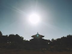 -北京麋鹿生态实验中心
