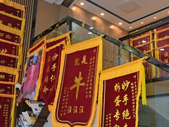 -半岛宠物医院24小时·内窥镜·牙科·碎石中心(府城大道店)