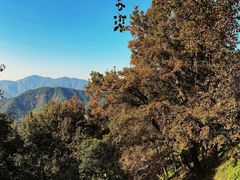 -广州市石门国家森林公园