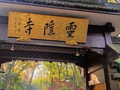 -野蔓果·山野菜(西湖景区·龙井茶田店)