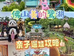 -美的鹭湖森林度假区