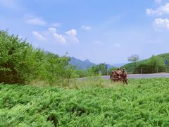 -妙峰山风景名胜区