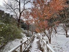 -香山公园