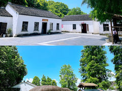 -同里国家湿地公园