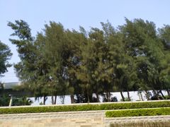 -宝安西湾红树林湿地公园