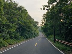 -宝界山林公园