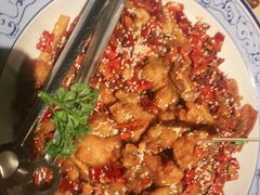 -胡桃里音乐酒馆(罗湖HALO广场店)