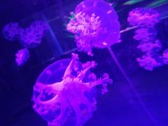 -仪征宝能环球汇