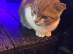 -星宿秘码(鼓浪屿老店)