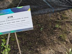 -长春农业博览园