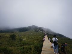 -白草畔自然风景区