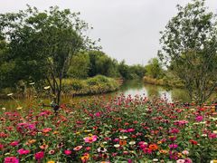 -梁鸿国家湿地公园