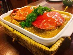 -茉莉.Red Crab