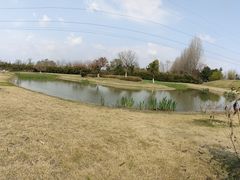 -夏河溪乡野公园