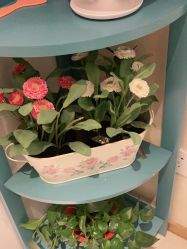 -薇兰专业脱毛连锁机构