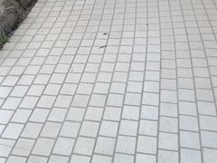 -故乡缘·香格里拉山庄(冷竹路店)