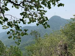 -阳台山自然风景区