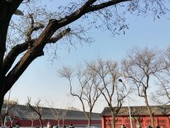 -东华门大街小区