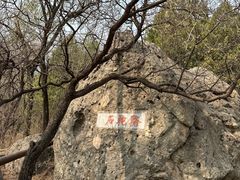 -阳台山自然风景区