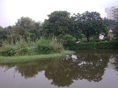 -人民公园(罗湖区)