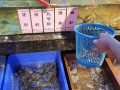 -新金盛·海鲜酒楼(盐田店)