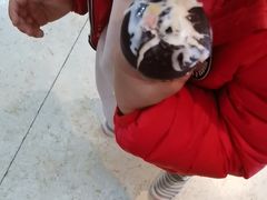 -DQ·蛋糕·冰淇淋(金鼎购物中心店)