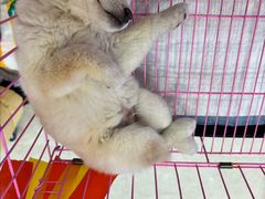 -银泰百货(北京大红门店)