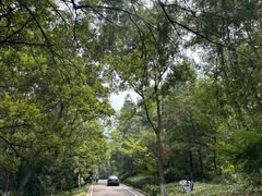 -南京老山国家森林公园
