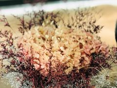 -长嘉·河图火锅(长嘉汇江景旗舰店)
