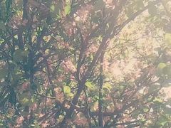 -昆明动物园