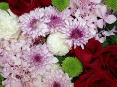 -袭人花店(辉县店)